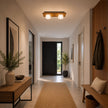 Estelle ceiling light 2-light