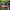 Hackbrett Holz Natur - rund Gr. M