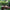 Hackbrett Holz Natur - rund Gr. M