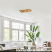 Liam ceiling light 3-light